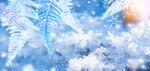 霜降雪花