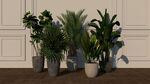 室内盆栽植物模型