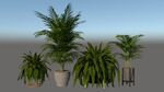 绿色盆栽植物模型