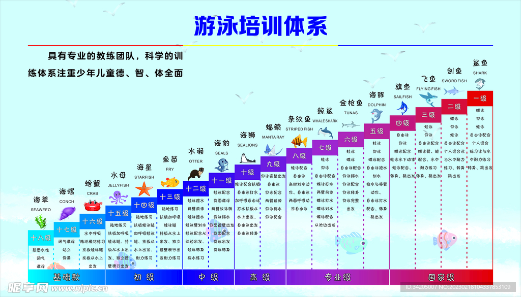 游泳运动体系