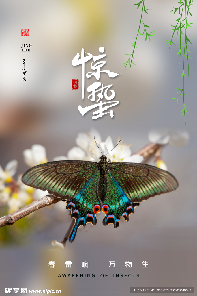 惊蛰