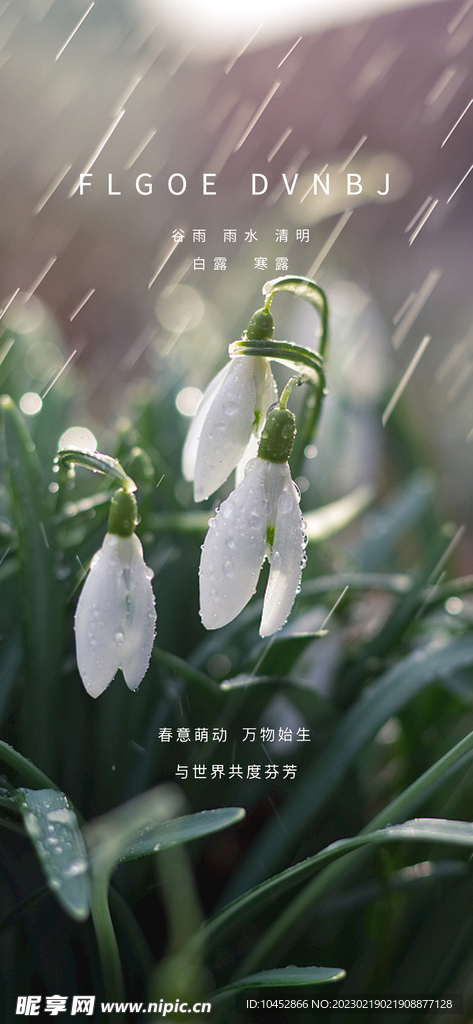 雨水谷雨