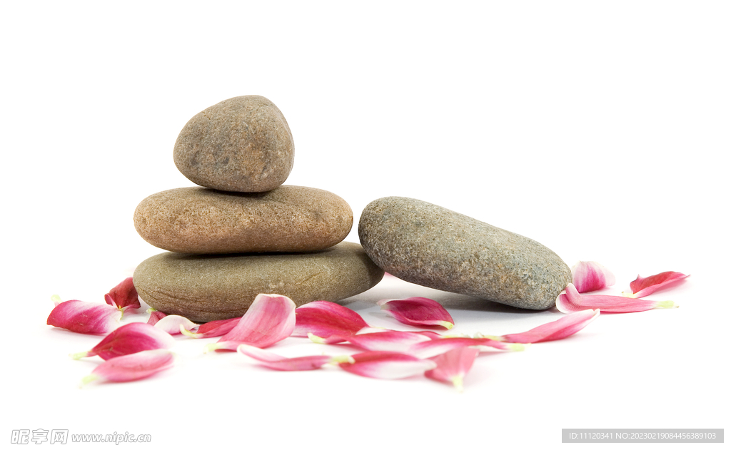 鹅卵石与粉红色的花瓣摄影