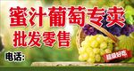 葡萄