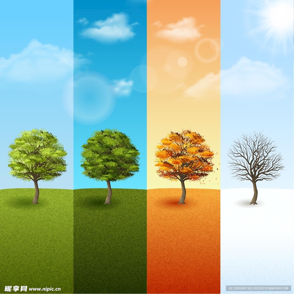 四个季节树木变化