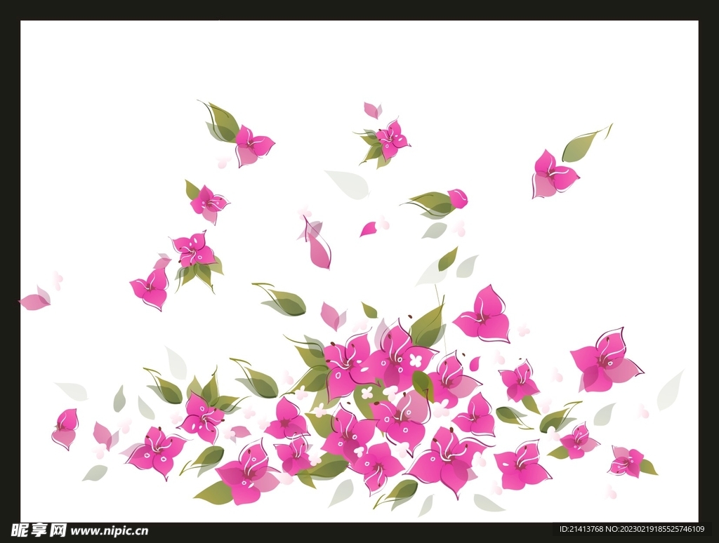 手绘花卉花朵 