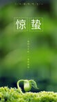 惊蛰