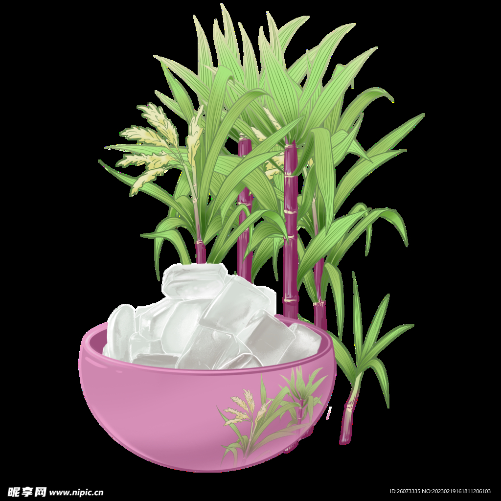 冰糖插画设计