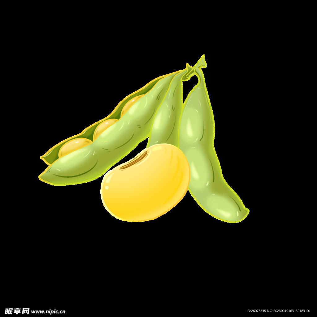 豆角