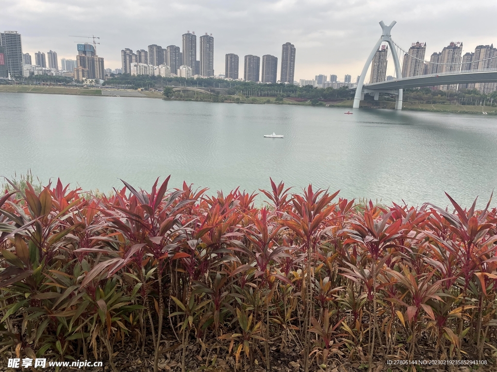 江边风景