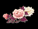 粉色桃花 素材