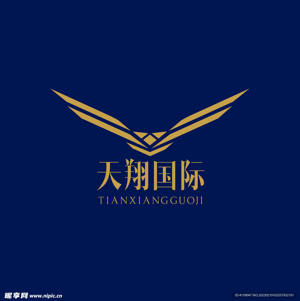 天翔国际logo设计