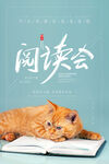 橘猫