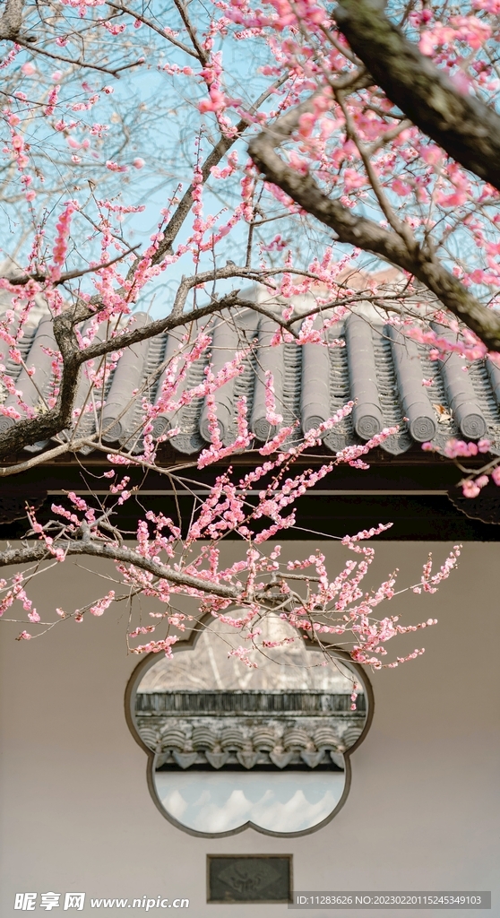 中国庭院摄影