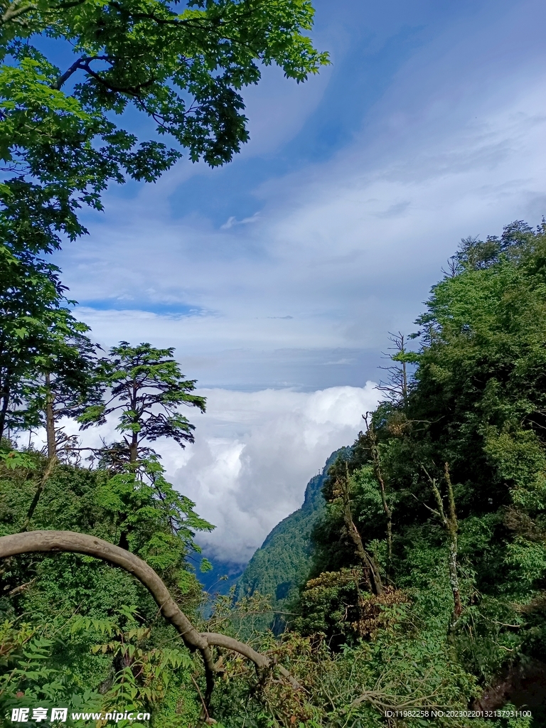 峨眉山云海