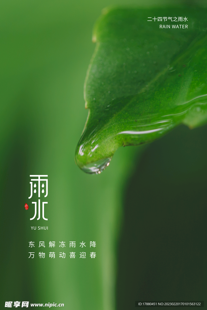 雨水春季海报