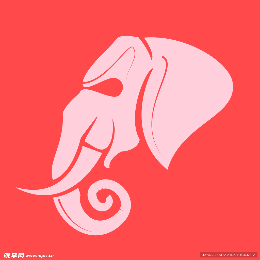 动物  