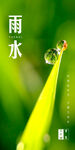 雨水