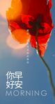 你好早安