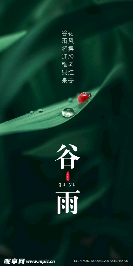 谷雨