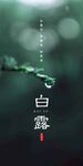 白露