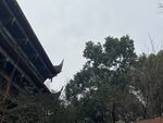 文殊坊  建筑