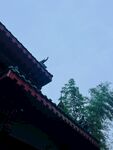文殊坊   檐角