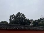 文殊坊