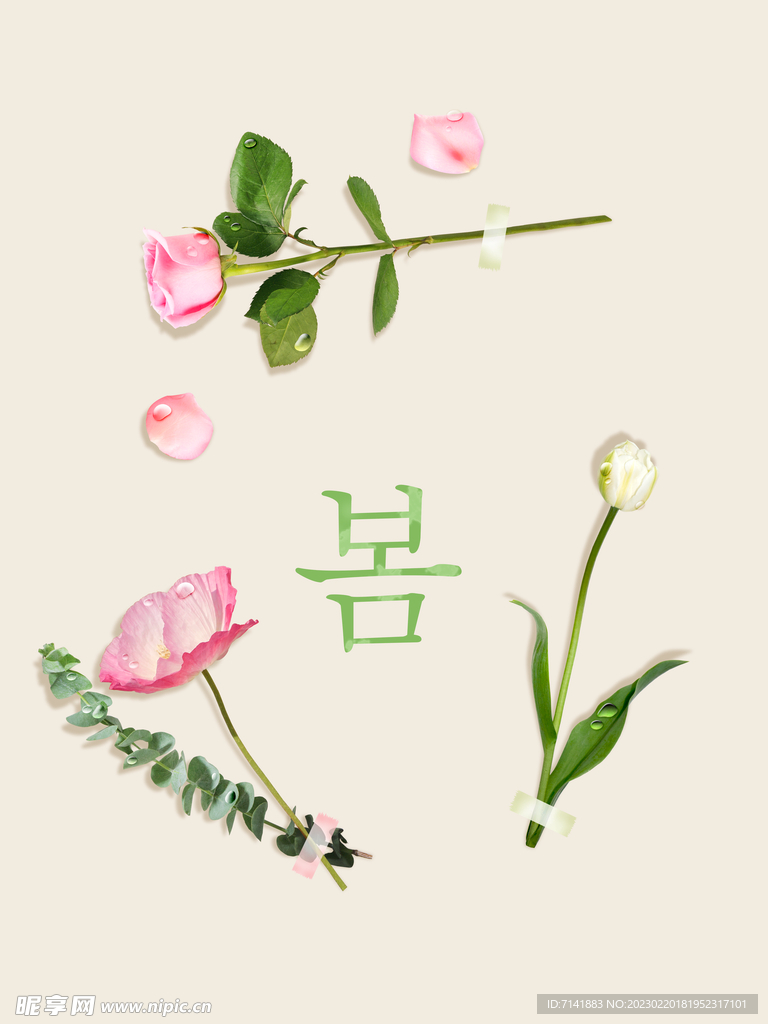 花背景