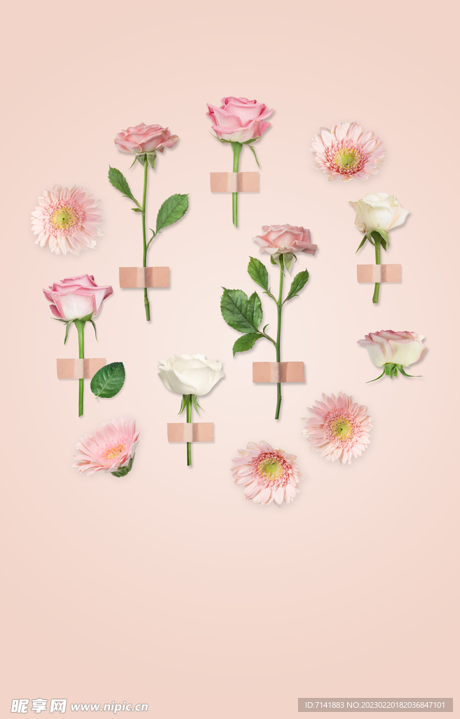 花背景