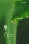 雨水