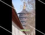 洛阳天堂明堂