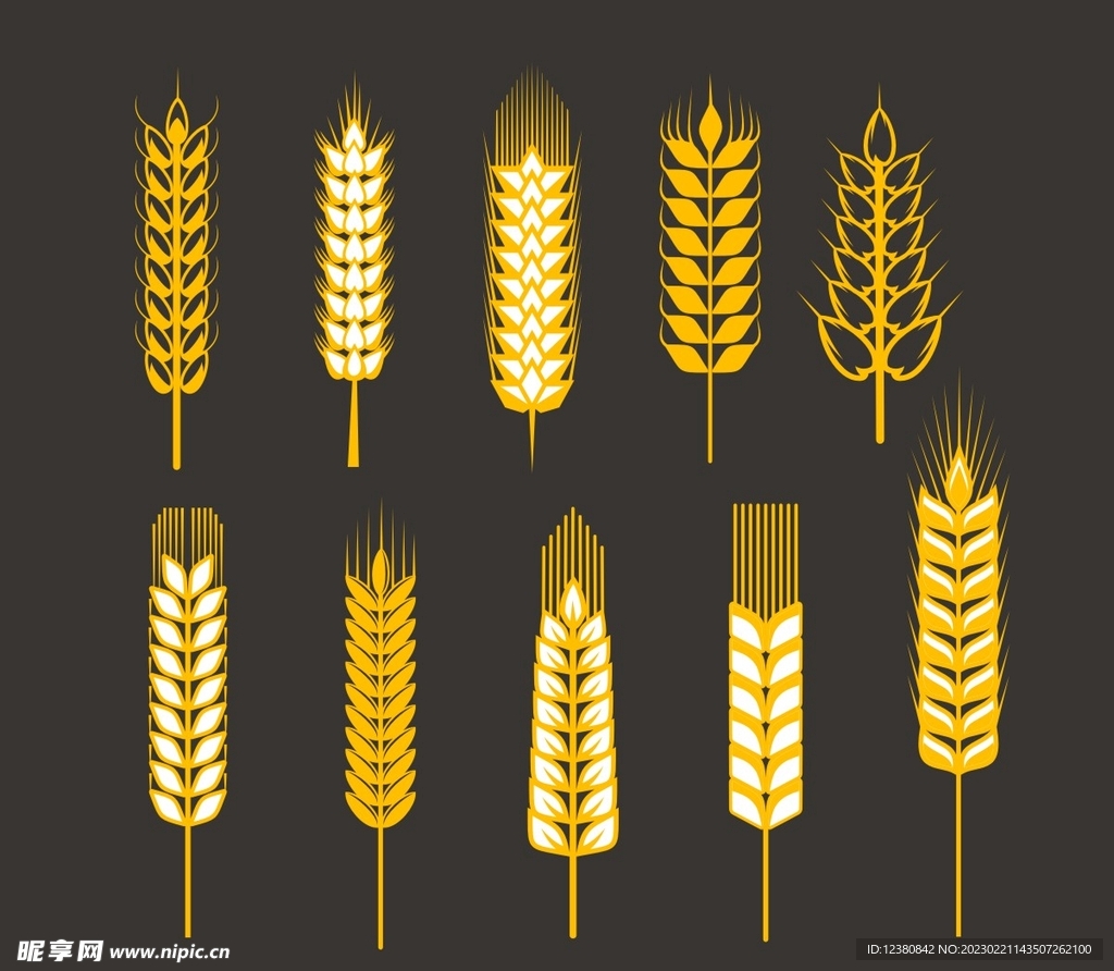谷物手绘麦穗矢量图图片素材免费下载 - 觅知网