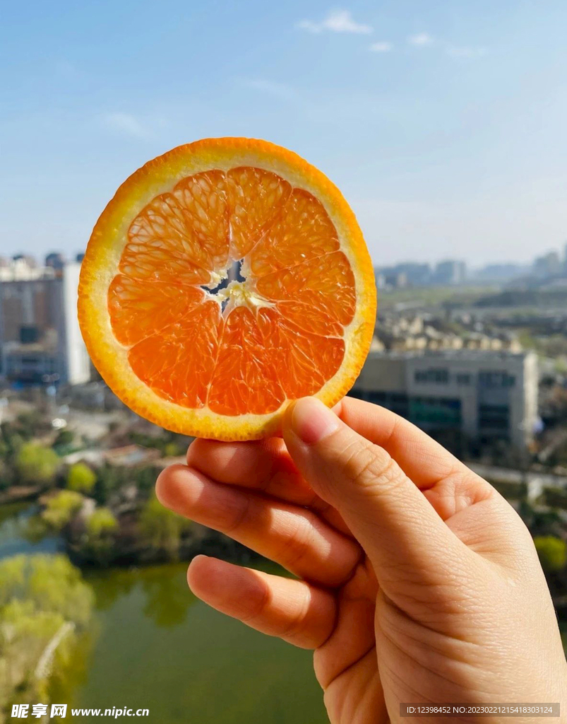 血橙