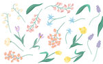 手绘花朵 