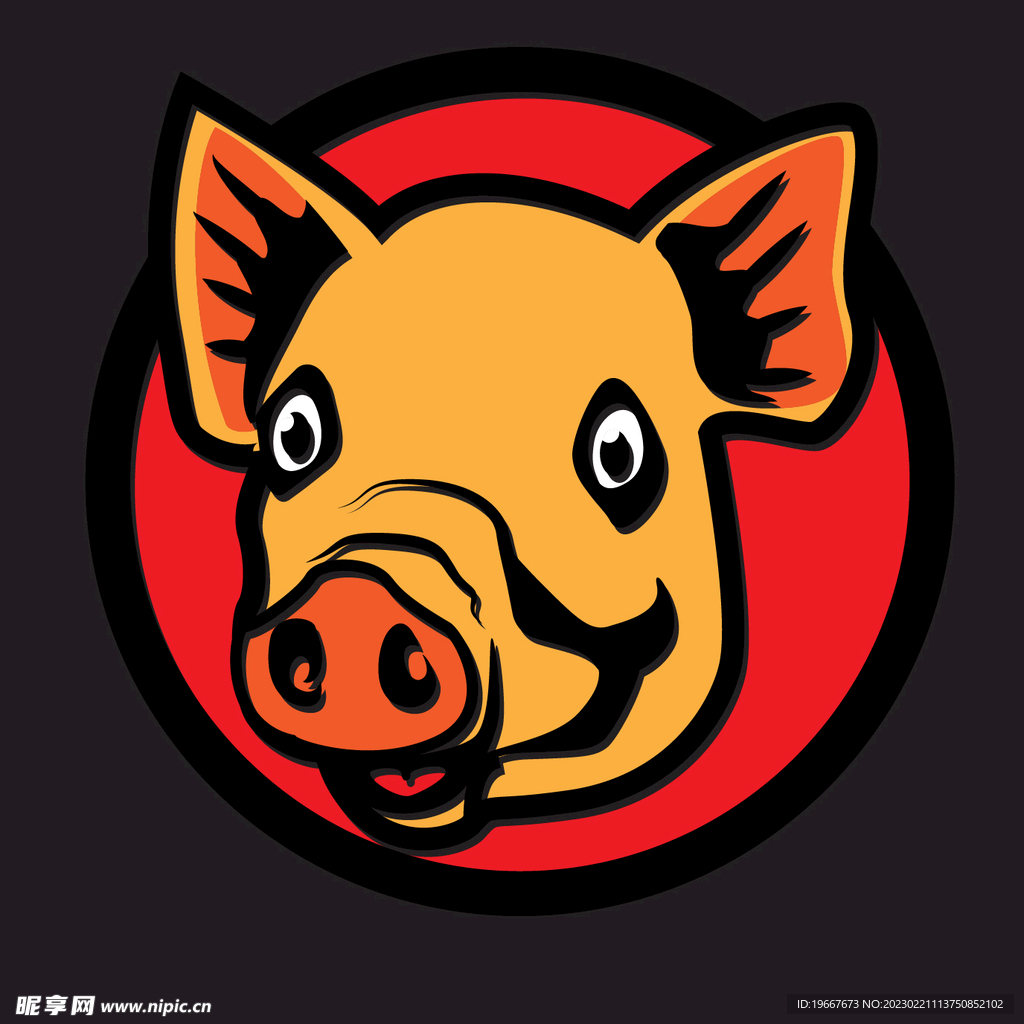 动物  