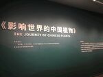 随拍