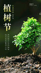 植树节