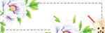 动物banner