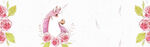 动物banner