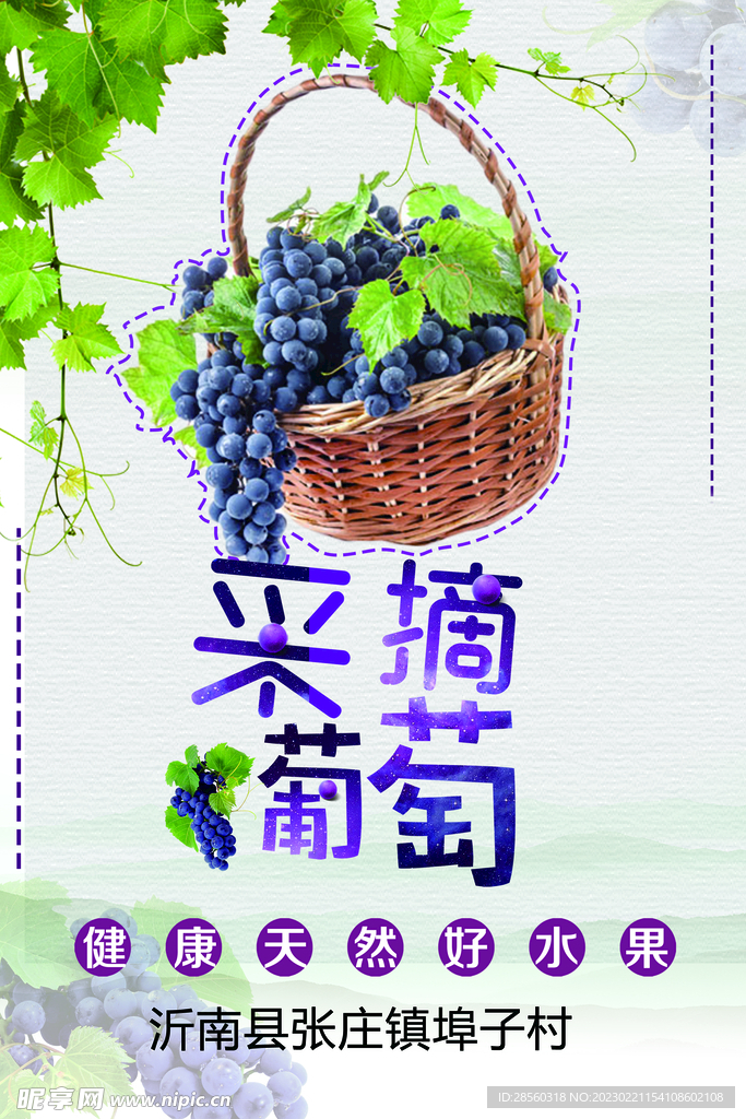 摘葡萄