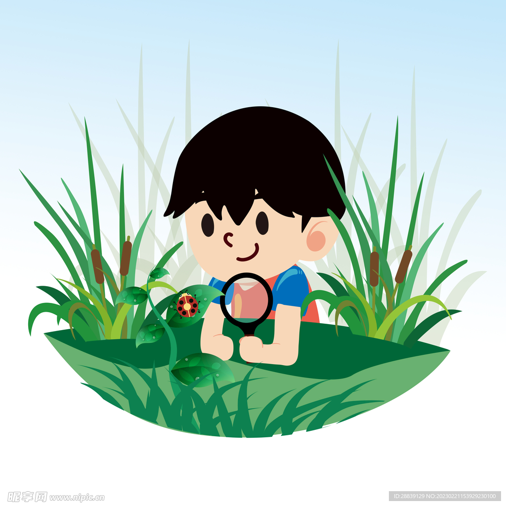  观察虫子 