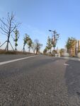 城市公路
