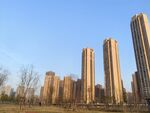 城市公园