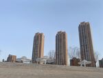 城市公园