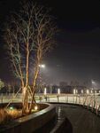 城市公园夜景图