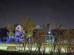 城市公园夜景