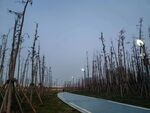 公园小路