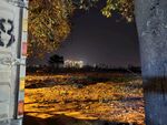 城市夜景