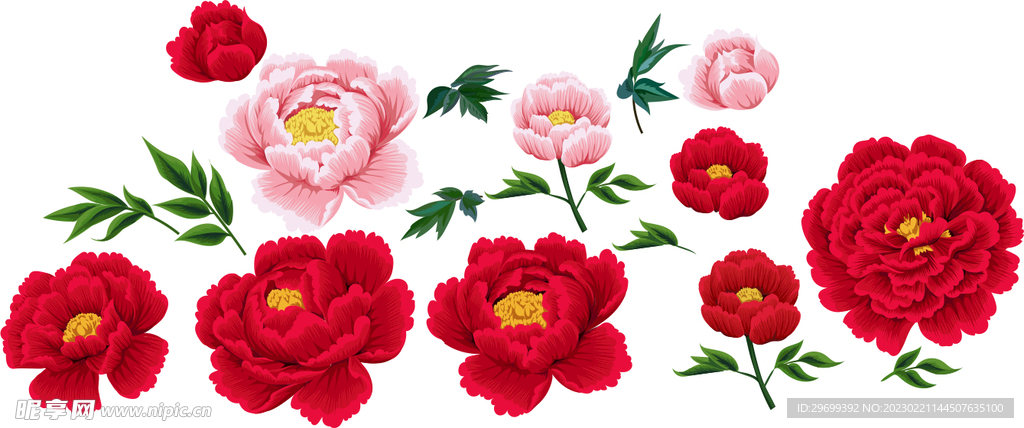 手绘花卉